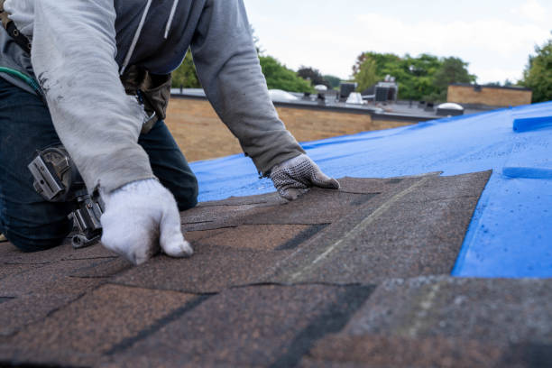 Roof Repair Estimates in Auburn, KS
